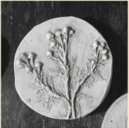 Clay - Intricate botanical plaster cast!